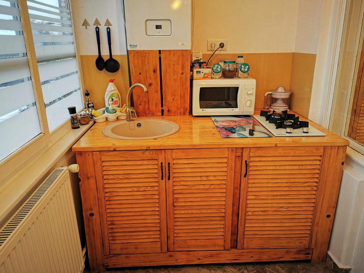 クルージュ＝ナポカApartament Hunterアパートメント エクステリア 写真